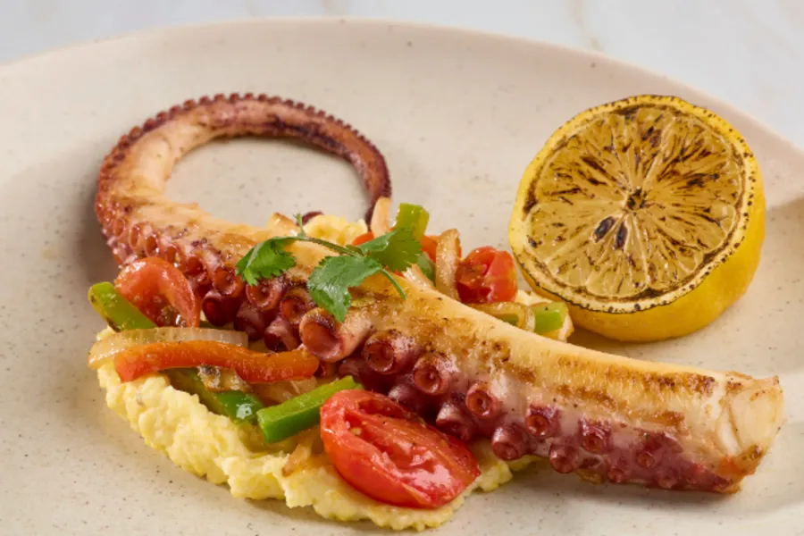 Grilled octopus